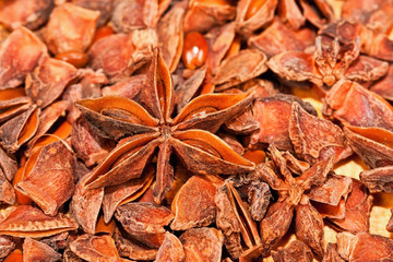 Dry star aniseed