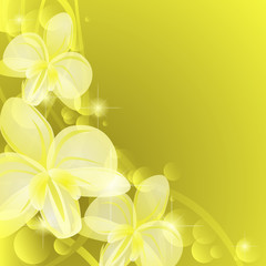 Fototapeta na wymiar Background with yellow orchids