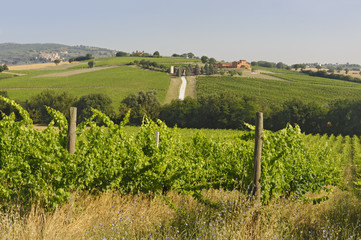 Fototapeta na wymiar Krajobraz w Umbrii pobliżu Todi