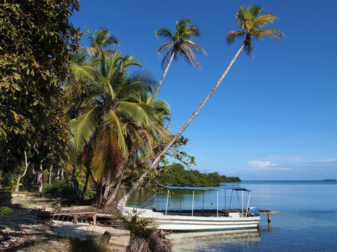 Sea shore with coconut trees leaning over the water and a boat at dock, Central America, Panama