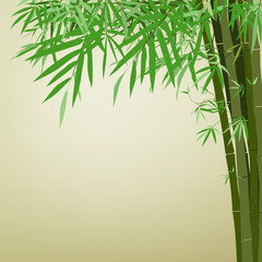 Bamboo printing, vector illustration