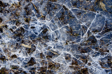 Cracked water ice on frozen bog winter background