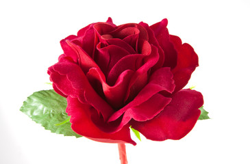 perfect red rose artificial isolated on white