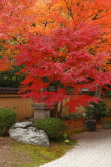 Japan in autumn