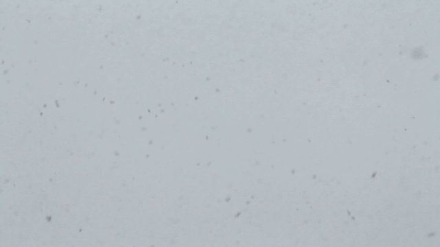 fiocchi di neve