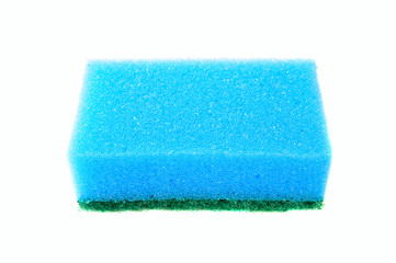 kitchen sponge