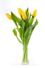 gelbe Tulpen in Vase