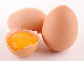 isolated egg