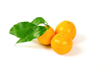 Tangerines with green leaves isolated on white