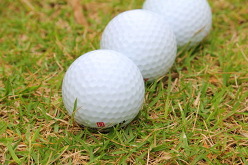 Golf ball on green grass, selective focus