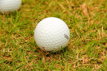 Golf ball on green grass, selective focus