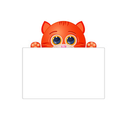 Red cat with blank sign
