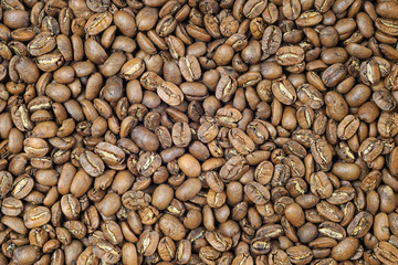 Maragogype coffee beans