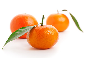orange mandarins with green leaf