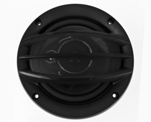 Car speaker