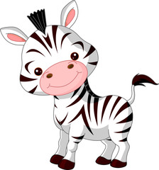 Fun zoo. Zebra