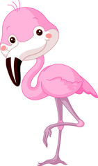 Obraz premium Fun zoo. Flamingo