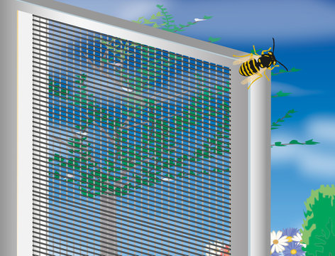 Insektenschutz_Fliegengitter_Fenster