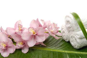 Fototapeta na wymiar Branch pink orchid with three terry multi-white towels