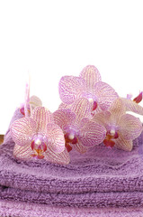 Pink spa towels with beautiful orchid