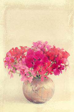 bouquet of the geranium