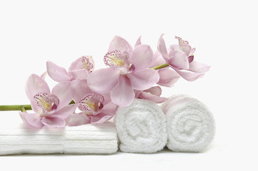 Fototapeta na wymiar piękna różowa orchidea na białym ręcznikiem