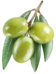 Olives with leaves on a white