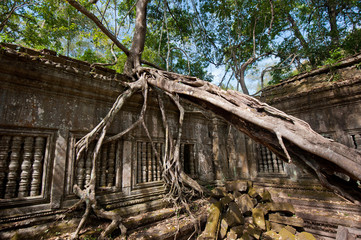 Fototapeta na wymiar Ruins of Beng Mealea, Angkor, Cambodia
