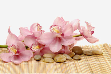 Beautiful branch orchid with stones on bamboo stick straw mat