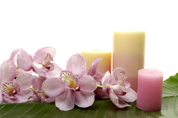 Obraz na płótnie Canvas pink orchid and colorful candle on banana leaf
