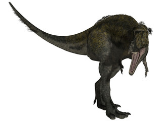 Obraz na płótnie Canvas Alioramus - 3D Dinosauier