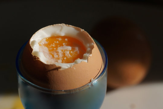 oeuf &agrave; la coque