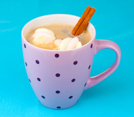 Cup of cappucino with marshmallows and cinnamon