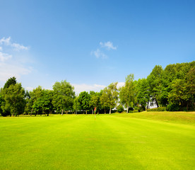 Green grass on a golf field