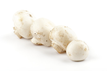 White Champignon Mushroom isolated on white background