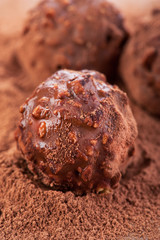 Macro of chocolate candy and cocoa powder