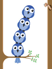 Bird teamwork to reach a worm for their lunch