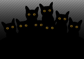 dark cats