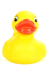 Front rubber ducky