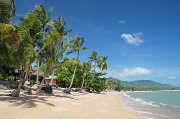 Tropical beach on Koh Samui island, Thailand