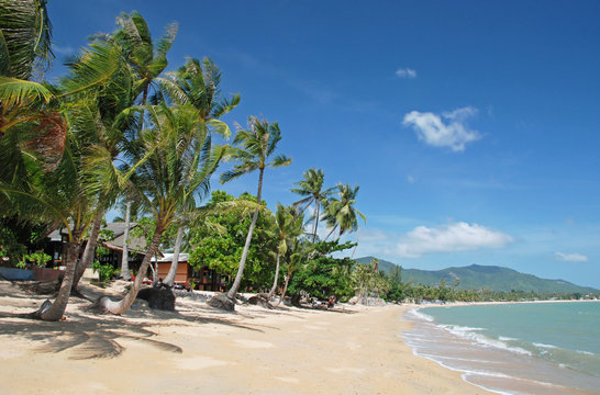 Tropical Beach On Koh Samui Island, Thailand