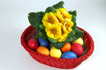 Osterkorb mit gelber Primel und Ostereiern