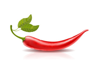 Isolated red hot chili pepper with leaves