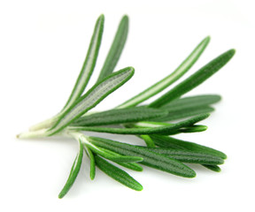 Twig of rosemary