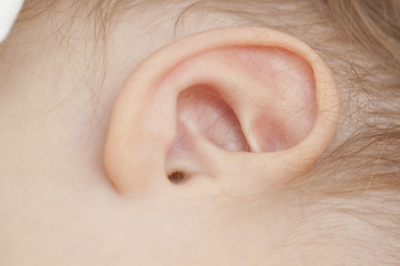 Fototapeta premium Baby ear