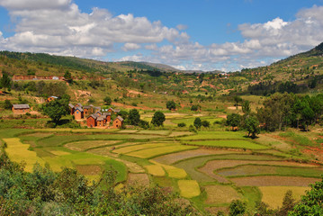 Village entouré de rizières en terrasse