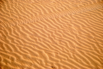 FONDOS Y TEXTURAS. ARENA CON ONDAS EN LA PLAYA