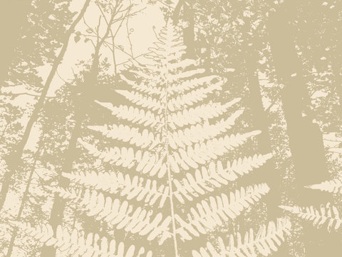 fern silhouette on brown background