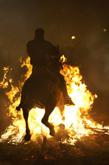 Fototapeta premium horse and fire