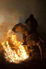Naklejka premium horse and fire